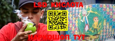 тгк Новозыбков