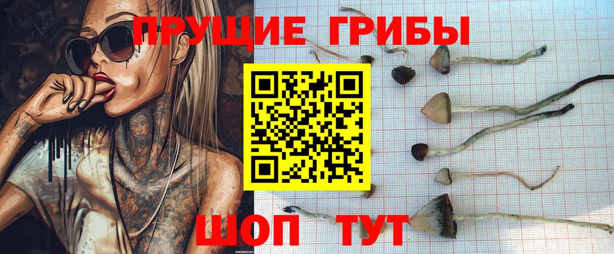 Галлюциногенные грибы MAGIC MUSHROOMS Томск