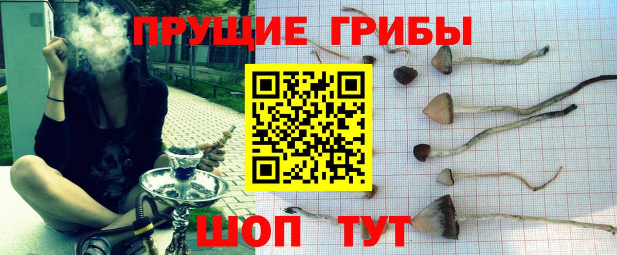 Псилоцибиновые грибы прущие грибы  Псилоцибиновые грибы Psilocybe  Томск  Вход с VPN 