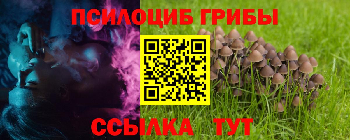 ГАШИШ Томск